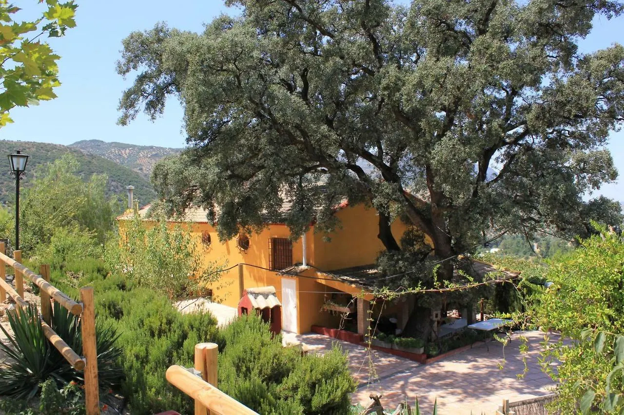 Landhuis El Encinar De Cobo Pension Fuensanta de Martos Spanje